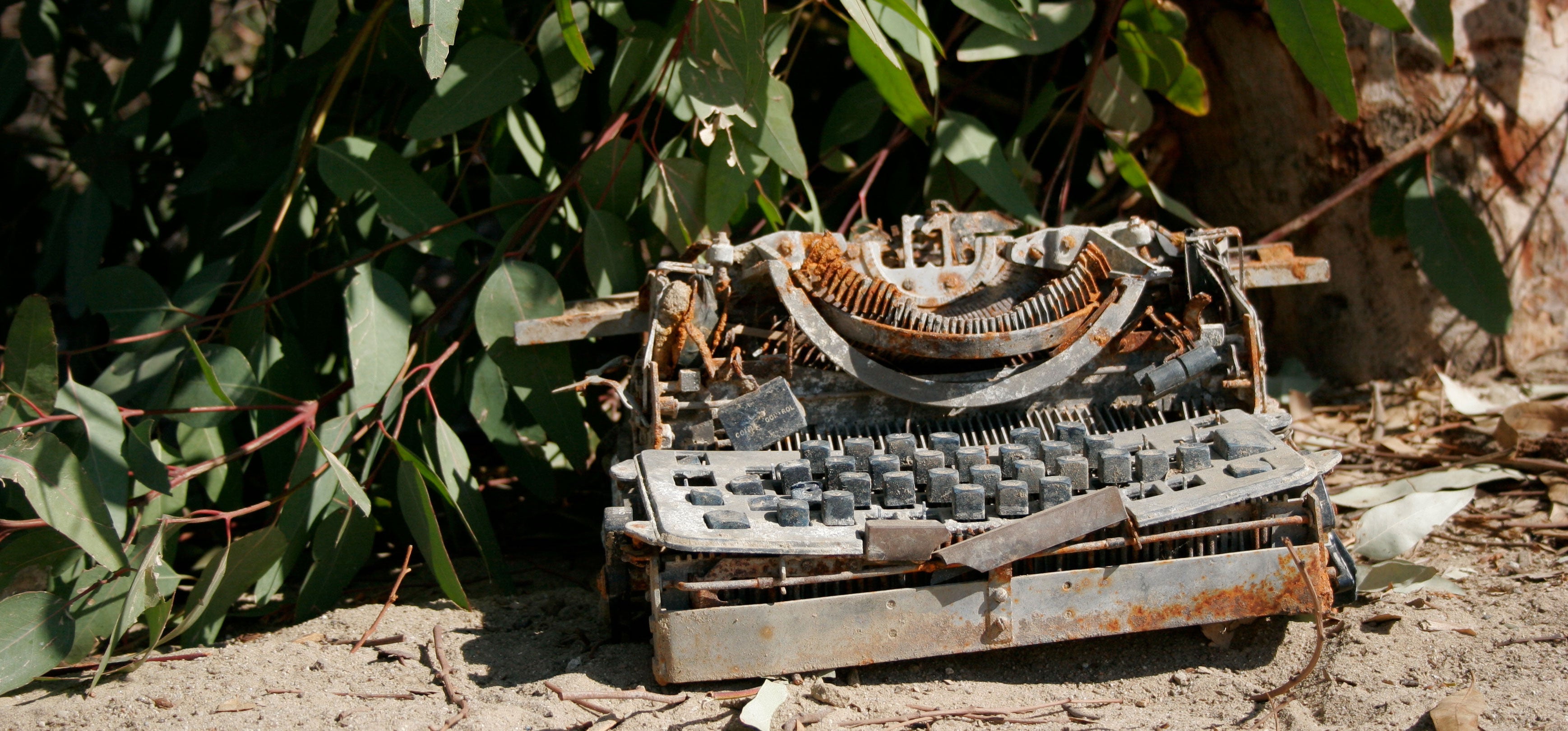 Rob Brink typewriter photo copyright Robert Brink